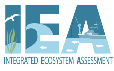 IEA Logo