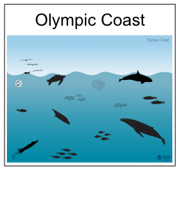Olympic Coast National Marine Sanctuary