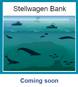 Stellwagen Bank National Marine Sanctuary