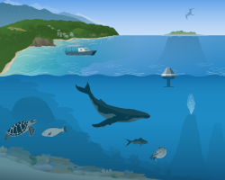National Marine Sanctuary of American Samoa