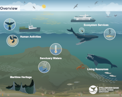 Stellwagen Bank National Marine Sanctuary