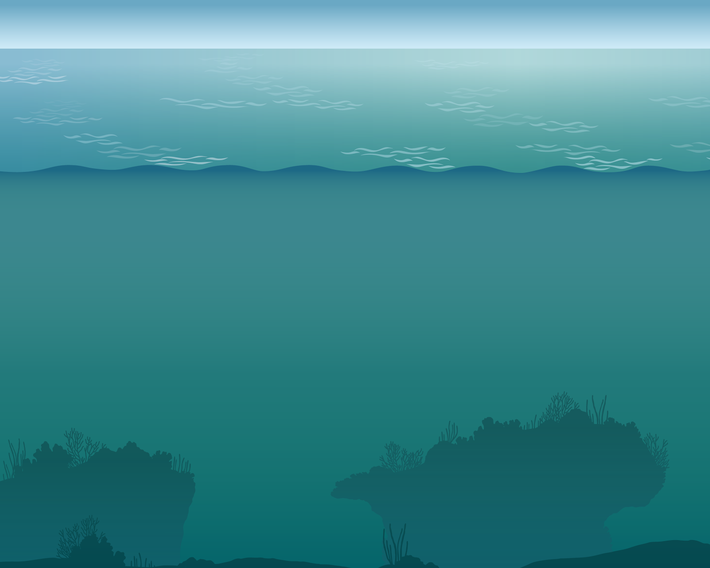 Gray’s Reef National Marine Sanctuary- Coming Soon