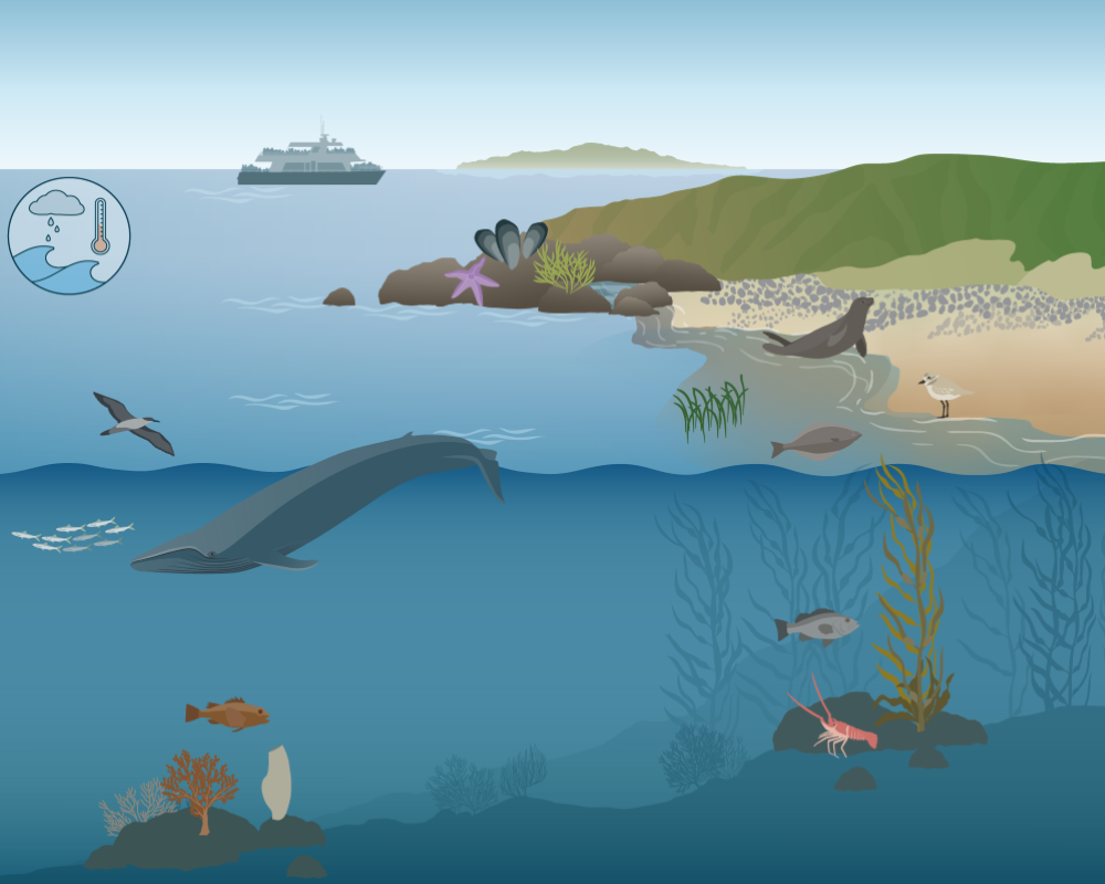 Channel Islands National Marine Sanctuary