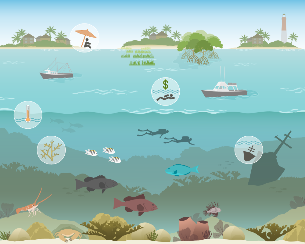 Florida Keys National Marine Sanctuary