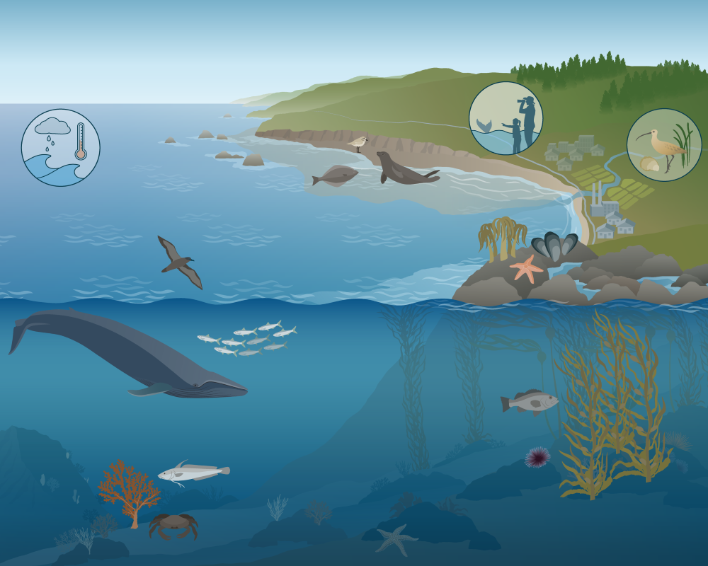 Monterey Bay National Marine Sanctuary