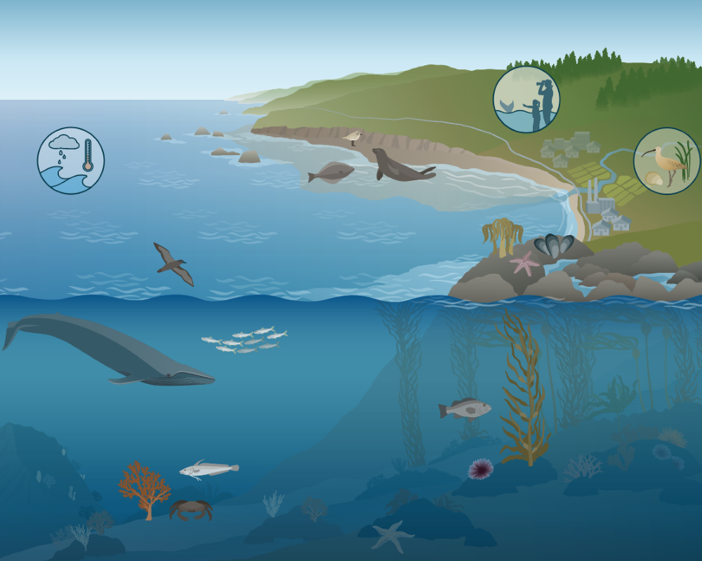 Monterey Bay National Marine Sanctuary