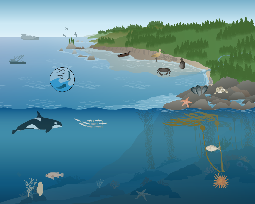 Olympic Coast National Marine Sanctuary