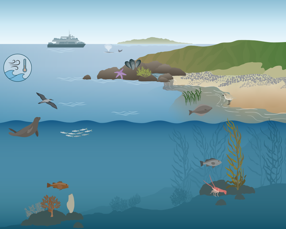 Channel Islands National Marine Sanctuary