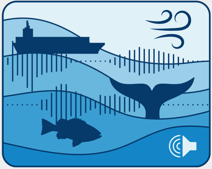 Ocean Sound