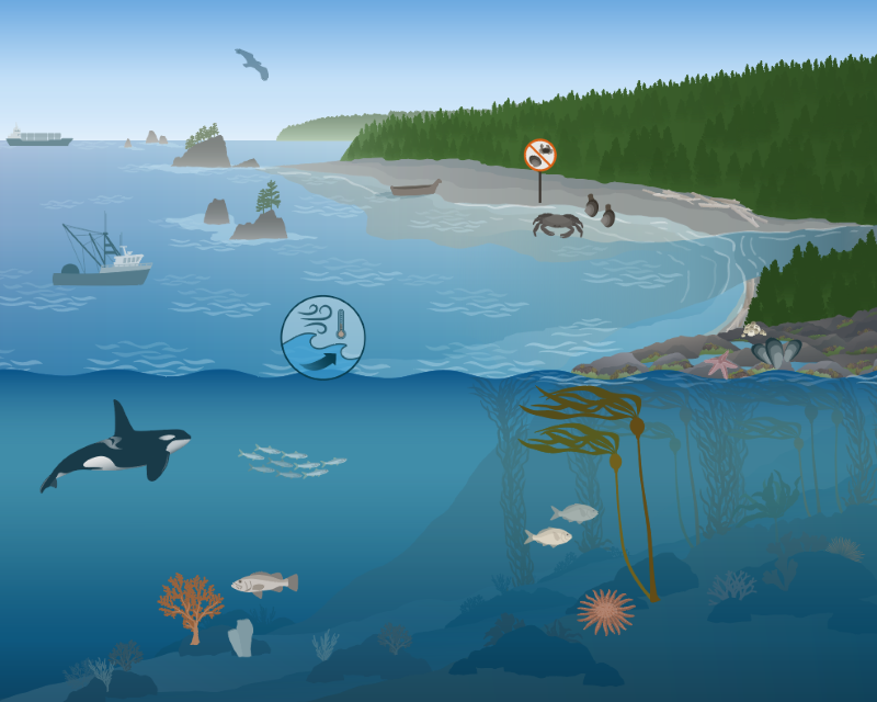 Olympic Coast National Marine Sanctuary
